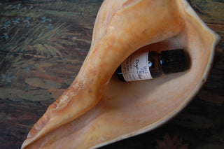 A bottle of Blue Sage's Deep Sleep Essential Oil Blend is shown inside a seashell.