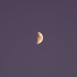 Half moon at night dots a purple background.